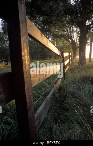 Horse Corral Zaun aufgehende Sonne reflektieren Stockfoto