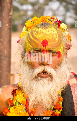 Porträt eines Sadhu, heiliger Mann, Indien. Stockfoto