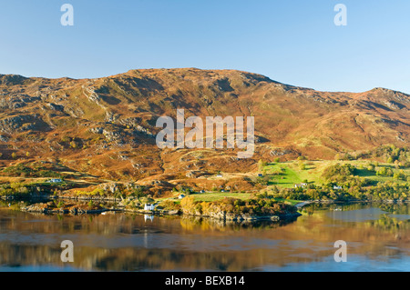 Glenborrodale Kilchoan auf der Ardnamurchan-Halbinsel an der schottischen Westküste Argyll. SCO 5622. Stockfoto