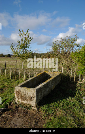 Eine römische Steinsarg auf Ancaster Friedhof, Lincolnshire, England. Stockfoto