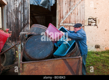 Französischer Bauer laden Körbe und halbe Fässer an Traktor - Sud-Touraine, Frankreich. Stockfoto