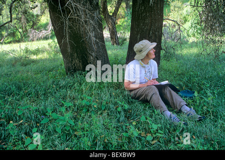 Frau schreiben Tagebuch im Pinnacles National Monument, Schriftstellerin Susan Lamb unter Schattenbaum östlich von Soledad, Kalifornien, USA Stockfoto