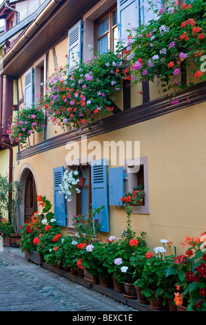 EGUISHEIM ruhigen Straße mit Kopfsteinpflaster der 'rue du Rempart' mit traditionellen Häusern und floralen Blumenkästen in Eguisheim Elsass Frankreich Stockfoto