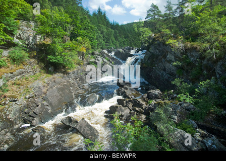 Die Rogie Falls Wasserfall in der Nähe von Inverness in Ross & Cromarty, Schottland Stockfoto