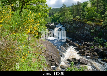 Die Rogie Falls Wasserfall in der Nähe von Inverness in Ross & Cromarty, Schottland Stockfoto