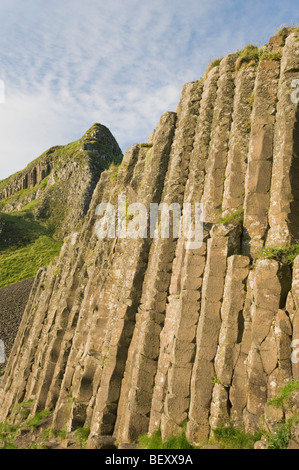 Giant es Causeway, säulenförmigen Basalt bei Sonnenuntergang, World Heritage Site, County Antrim, Nordirland Stockfoto