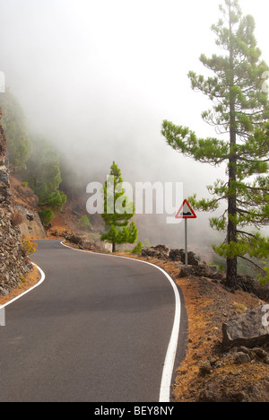 Kurvenreiche Straße, die teilweise in einem Deck von Wolken hinauf in die Berge auf El Hierro Stockfoto