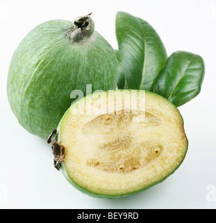 Feijoa auf weißem Hintergrund Stockfoto