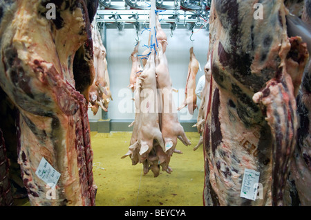 Rungis Markt am Stadtrand von Paris ist das größte Großhandel Fleisch, Fisch- und Gemüsemarkt in der Welt. Stockfoto