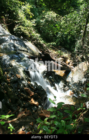 Wasserfall in den Bergen von Koh Chang, Thailand. Stockfoto