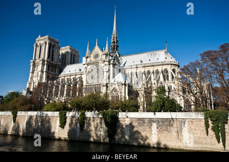 Kathedrale Notre-Dame vom Ufer aus gesehen. Die fliegenden Steinstrehlen und 90m Turm zu zeigen. Paris Frankreich Stockfoto