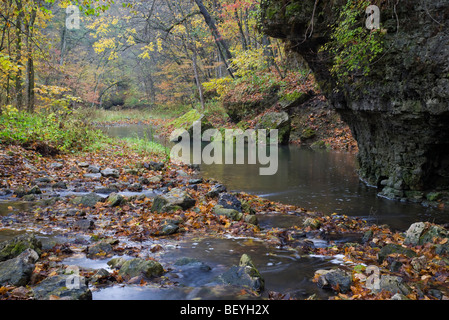 Pine Hollow Creek, White Pine Hollow Zustand bewahren, Dubuque County, Iowa Stockfoto