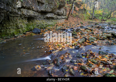 Pine Hollow Creek, White Pine Hollow Zustand bewahren, Dubuque County, Iowa Stockfoto