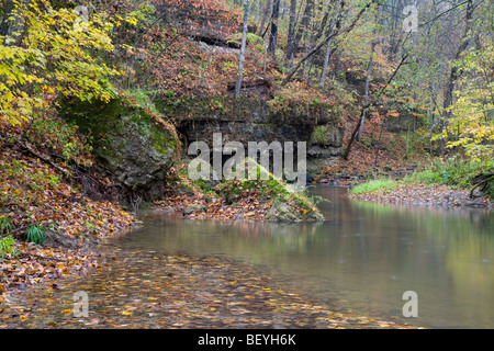 Pine Hollow Creek, White Pine Hollow Zustand bewahren, Dubuque County, Iowa Stockfoto