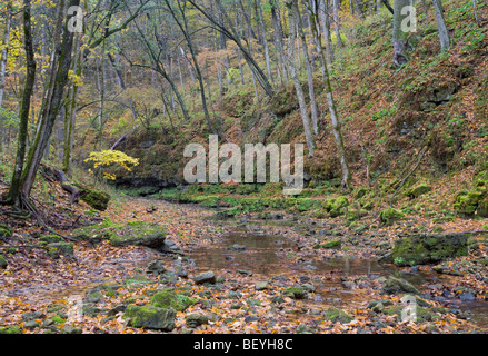 Bach, White Pine Hollow Zustand zu bewahren, Dubuque County, Iowa Stockfoto