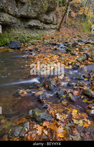 Pine Hollow Creek, White Pine Hollow Zustand bewahren, Dubuque County, Iowa Stockfoto