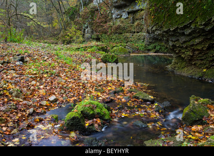 Bach, White Pine Hollow Zustand zu bewahren, Dubuque County, Iowa Stockfoto