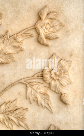 Ein genauerer Blick zeigt Details des Taj Mahal Agra Indien Stockfoto