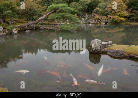 Sogenchi Gärten und den Tempel von Tenryu-Ji, Kyoto, Japan, Samstag, 24. Oktober 2009. Stockfoto