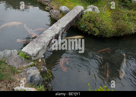 Sogenchi Gärten und den Tempel von Tenryu-Ji, Kyoto, Japan, Samstag, 24. Oktober 2009. Stockfoto