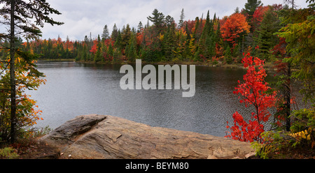 Peck lake panoramic fall nature scenery. Algonquin Provincial Park, Ontario, Canada. Stockfoto