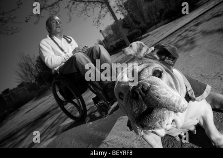 Rollstuhl gebundenen Hundetrainer Stockfoto