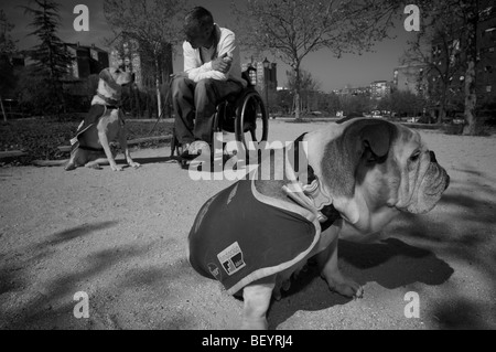 Rollstuhl gebundenen Hundetrainer Stockfoto