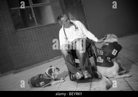 Rollstuhl gebundenen Hundetrainer Stockfoto