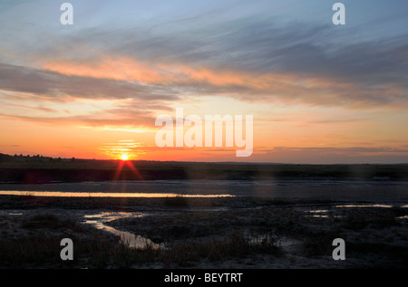 Sonnenuntergang über Salzwiesen bei Toynbee, Norfolk, England, Vereinigtes Königreich. Stockfoto
