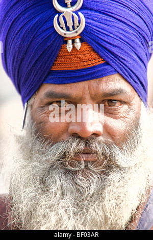 Porträt eines Sikhs in Amritsar, Punjab, Indien. Stockfoto