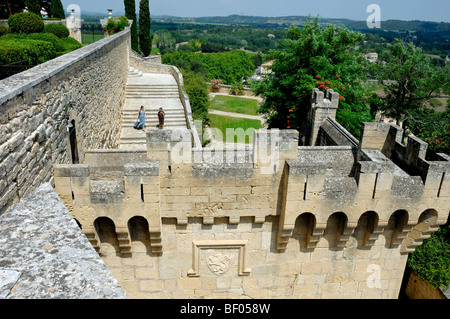 Zinnen oder Zinnen & Eintritt zum Schloss Ansouis oder zum Regionalpark Château Ansouis Luberon Vaucluse Provence Frankreich Stockfoto