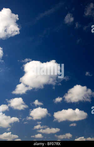 Cumulus Humilis weiße flauschige Wolken im tiefblauen Himmel polarisierte Stockfoto