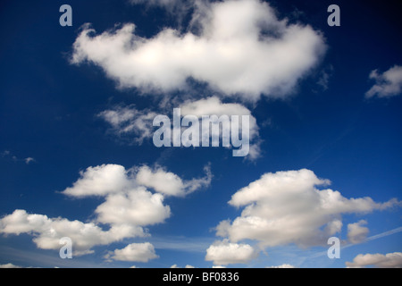 Cumulus Humilis weiße flauschige Wolken im tiefblauen Himmel polarisierte Stockfoto