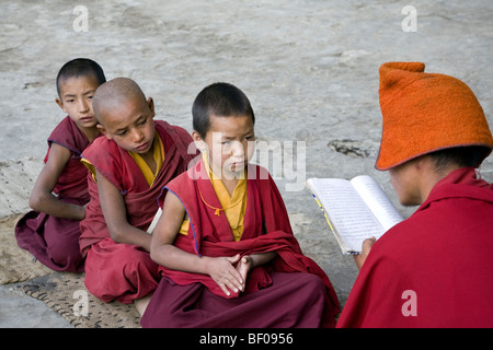 Novizen und Lehrer. Phugtal Kloster. Zanskar. Indien Stockfoto