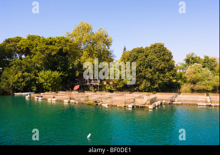 Allem auf dem Manavgat-Fluss in der Nähe von Antalya in der Südtürkei Mittelmeer Stockfoto