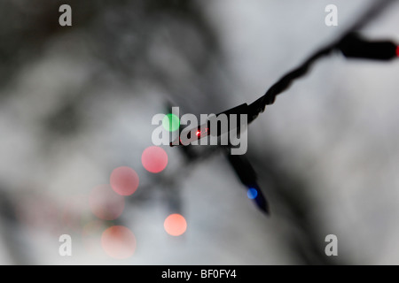 Bunte Weihnachtsbeleuchtung sind während einer Party in einer ländlichen Gegend der zentralen Vereinigten Staaten auf einer Wäscheleine aufgehängt. Stockfoto