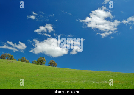 Frühlings-Landschaft entlang der Autobahn 40 in Zentral-Kalifornien Stockfoto