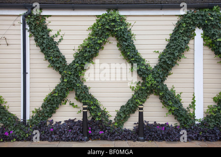 X auf einen Grenzzaun geformt Klettern Ivy Hedera SP wächst auf einem drahtgebundenen ehemaligen Garten erstellen. Stockfoto