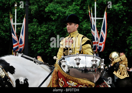 Trooping die Farbe 2009 außerhalb der Buckingham Palace, London, England Stockfoto