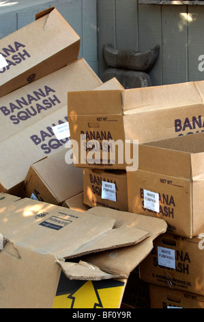 Ein Stapel von Kisten, die Banane Squash bezeichnet werden. Stockfoto