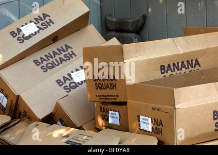 Ein Stapel von Kisten, die Banane Squash bezeichnet werden. Stockfoto