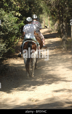 Reiten im Irvine Regional Park in Orange County, Kalifornien. Stockfoto