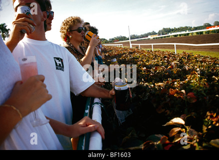 Darwin Australien Fannie Bay Leute trinken bei den St. Patrick Day Races Stockfoto