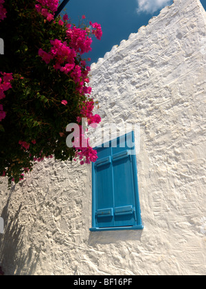 Perdika Aegina Insel Attika Griechenland rosa Bougainvillea und blauen Fensterläden Stockfoto