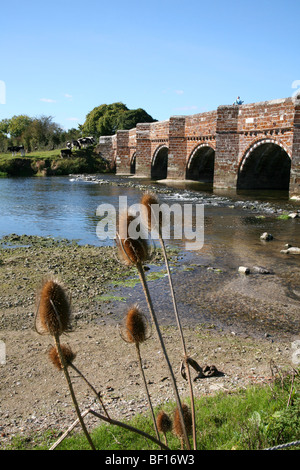 Sturminster Marshall - The River Stour in ruhige herbstliche Stimmung von White Mill Bridge gesehen Stockfoto