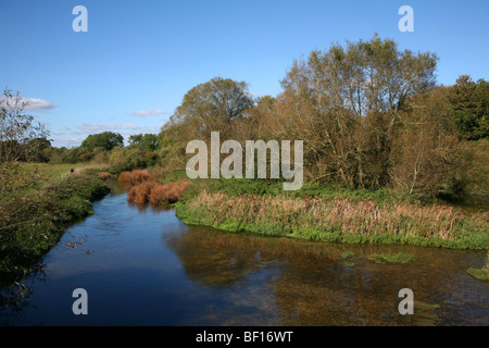 Sturminster Marshall - The River Stour in ruhige herbstliche Stimmung von White Mill Bridge gesehen Stockfoto