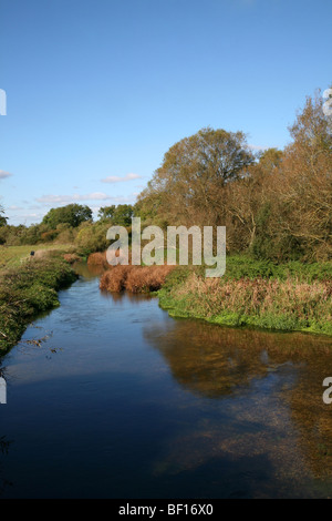 Sturminster Marshall - The River Stour in ruhige herbstliche Stimmung von White Mill Bridge gesehen Stockfoto