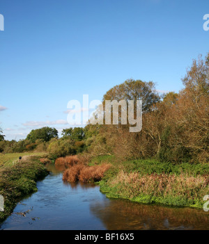 Sturminster Marshall - The River Stour in ruhige herbstliche Stimmung von White Mill Bridge gesehen Stockfoto