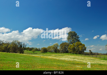 Frühlings-Landschaft entlang der Autobahn 40 in Zentral-Kalifornien Stockfoto