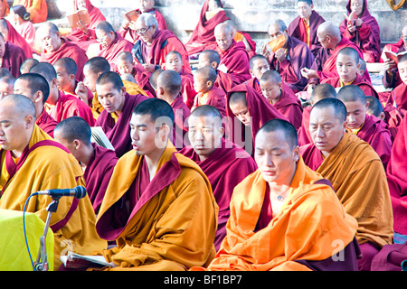 Mönche beten am Mahabodhi-Tempel in Bodhgaya, Indien. Stockfoto